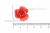 Украшение "Розы малые №1" 20мм - купить в Каспийске. Цена: 32.49 руб.