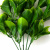 Трава искусственная -1, шт (эвкалипт лист 32 см/8 см)				 - купить в Каспийске. Цена: 169.93 руб.