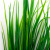 Трава искусственная -2, шт (осока 41см/8 см)				 - купить в Каспийске. Цена: 104.57 руб.