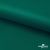 Ткань подкладочная Таффета, 19-5420, 53 г/м2, антистатик, шир. 150 см, вечнозеленый - купить в Каспийске. Цена 57.16 руб.