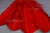 Декоративный Пучок из перьев, перо 23см/красный - купить в Каспийске. Цена: 11.16 руб.
