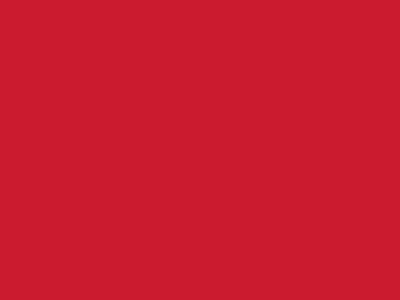 Сетка подкладочная красный, 60г/м2 (10 м/кг) - купить в Каспийске. Цена 885.73 руб.