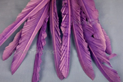 Декоративный Пучок из перьев, перо 25см/фиолетовый - купить в Каспийске. Цена: 12.19 руб.