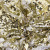 Трикотажное полотно, Сетка с пайетками, шир.130 см, #315, цв.-белый/золото - купить в Каспийске. Цена 693.39 руб.