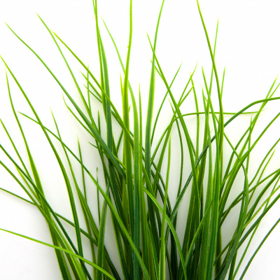 Трава искусственная -3, шт (осока 50 см/8 см  5 листов)				 - купить в Каспийске. Цена: 124.17 руб.