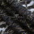 Кружевное полотно XD LACE 1-4, 80 гр/м2, шир.150см, цвет чёрный - купить в Каспийске. Цена 245.94 руб.